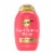 OGX Repair & Protect Bond Protein Repair Conditioner Perspective: front