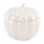 Northern Lights Iridescent Ceramic Pumpkin Candle - White Perspective: front