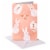 American Greetings Easter Card Pack #59, Easter Bunny Perspective: front