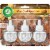 Air Wick Essential Oils Woodland Mystique Refills Perspective: front