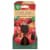 Air Wick® Essential Mist® Apple Cinnamon Medley® Fragrance Mist Perspective: front