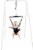 Jolly Jumper Baby Exerciser with Stand, Baby Bouncer for Active Babies, Baby Jumper, White Perspective: front