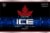 Molson Ice Beer Perspective: front