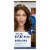 Clairol Permanent Root Touch-Up Kit 5G Medium Golden Brown Perspective: front