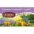 Celestial Seasonings Lemon Lavender Lane Caffeine Free Herbal Tea Bags 20 Count Perspective: front