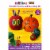 Pumpkin Masters World of Eric Carle® Halloween Pumpkin Painting and Decorating Kit Perspective: front