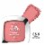 L'Oreal Paris True Match Blush Super Blendable C5-6 Rosy Outlook Perspective: front