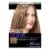 L'Oreal Paris Frost & Design Pull Through Cap Highlights H65 Caramel Perspective: front