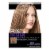 L'Oreal Paris Frost & Design Pull Through Cap Highlights H65 Caramel Perspective: front
