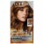 L'Oreal Paris Feria 63 Light Golden Brown Hair Color Perspective: front