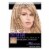 L'Oreal Paris Frost and Design Cap H85 Champagne Hair Highlights Perspective: front