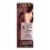 L'Oreal Paris Le Color Gloss Auburn Toning Gloss Perspective: front