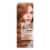 L'Oreal Paris Le Color Gloss Copper Toning Gloss Perspective: front