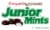 Junior Mints® Candy Perspective: front
