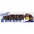 Entenmann's Classic Rich Frosted Donuts Perspective: front