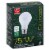 Harris Teeter™ Halogen 75W Light Bulbs Perspective: front