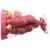 Harris Teeter Cripps Pink Apples Perspective: front