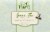 HT Traders™ Green Tea Soap Perspective: front