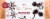 Russell Stover Peppermint Melts Dark Chocolate Box Perspective: front