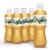 Vernors Zero Sugar Ginger Soda Bottles Perspective: front