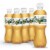 Vernors Zero Sugar Ginger Soda Bottles Perspective: front