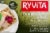 Ryvita® Pumpkin Seeds & Oats Rye Crispbread Perspective: front