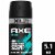 AXE Apollo Sage & Cedarwood Deodorant Body Spray Perspective: front