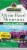 Nature's Answer® Plant Based Magnesium Vegetarian Capsules 500mg Perspective: front