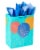 American Greetings #2 Gift Bag with Tissue Paper Perspective: front