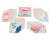 American Greetings Magical Classroom Valentine Cards for Kids Perspective: front