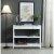 Omega 1 Drawer Console Table with Shelves Perspective: front
