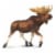 Moose Toy Perspective: front