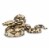Boa Constrictor Perspective: front