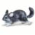 Chinchilla Perspective: front