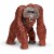 Bornean Orangutan Toy Perspective: front