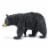 Black Bear Toy Perspective: front