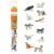 Domestic Cats TOOB Perspective: front