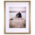 Malden Double Spacer Gold Picture Frame Perspective: front
