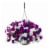 Premium Flowering Hanging Baskets Perspective: front