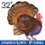 Thanksgiving Turkey Oversized Shape Helium Filled Balloon Perspective: front