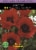 Oriental Poppy Red Seeds Perspective: front