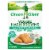 Green Giant Cauliflower and Broccoli Veggie Hash Brown Patties Perspective: front