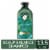 Herbal Essences bio:renew Aloe + Eucalyptus Sulfate Free Scalp Balance Shampoo Perspective: front