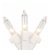 Northlight 100-Count Clear Mini Christmas Light Set, 20.25ft White Wire Perspective: front