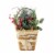 Northlight 13.5 Brown and Green Frosted Pine Cones Artificial Christmas Basket Perspective: front