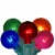 Northlight 10 Multi-Color Transparent G40 Globe Christmas Lights - 9' Green Wire Perspective: front