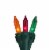 Northlight 100-Count Multicolor Mardi Gras Mini Christmas Light Set, 20.6ft Green Wire Perspective: front