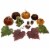 Northlight Set of 10 Pumpkin, Pine Cone, Berry and Leaves Fall Harvest Decor Set Perspective: front
