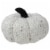 Northlight 7  Ivory Knitted Fall Harvest Tabletop Pumpkin Perspective: front