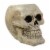 Northlight 11 Ivory and Black Halloween Skull Tabletop Decoration Perspective: front